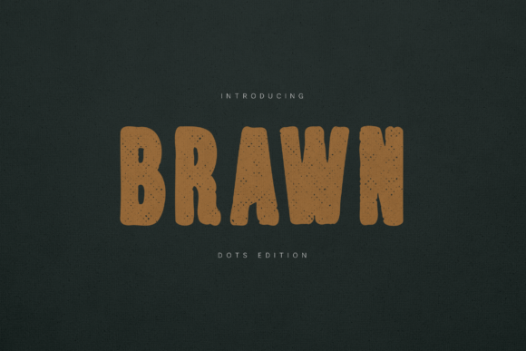Brawn Dots Edition Font