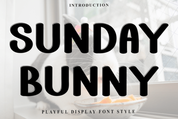Sunday Bunny Font Review